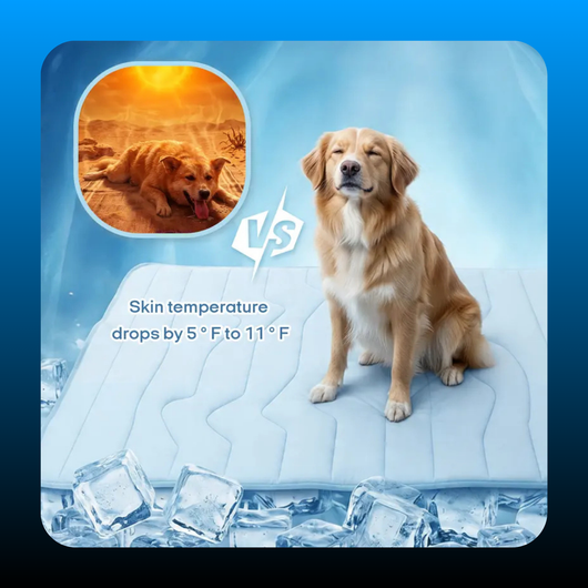 Pet Cooling Mat