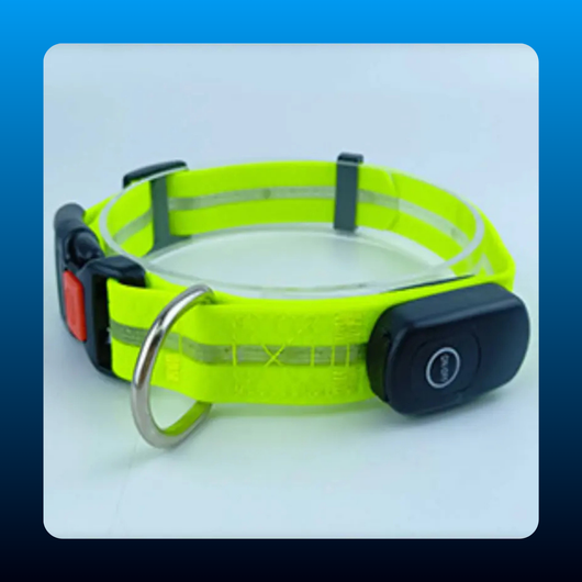 Rechargeable LED Dog Collar