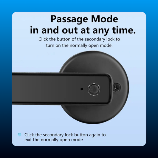 Smart Fingerprint Door Lock with Handle
