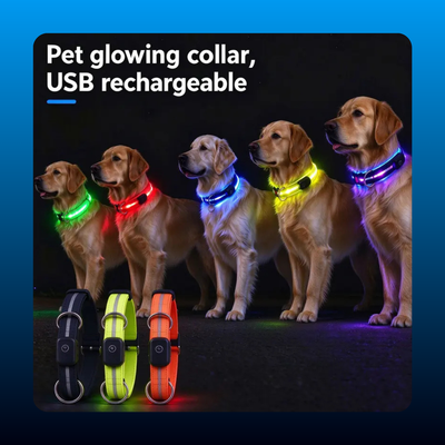 Rechargeable LED Dog Collar