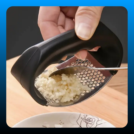 Stainless Steel Garlic Press 2pcs