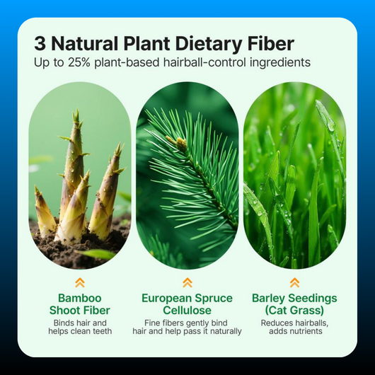 Dried Cat Grass Treats for Hairball Control & Digestive Health