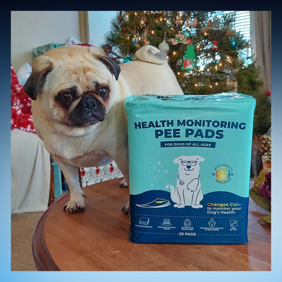 Health Monitoring Pet Pee Pads