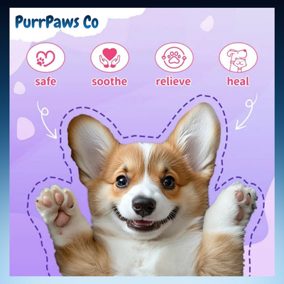 Pet Paw and Nose Moisturizing Balm Stick
