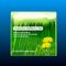Dandelion Wolfberry Tea Natural 7-Herb Blend