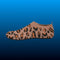 Barefoot Water Shoes with Leopard Print
