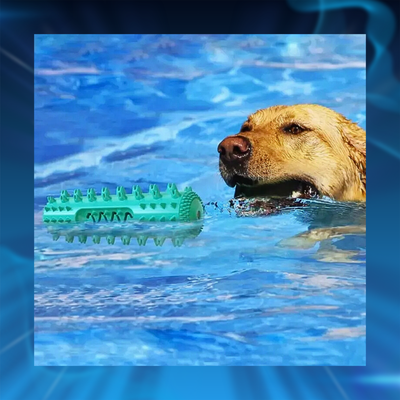 Dog Toothbrush Chew Toy
