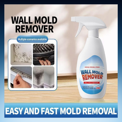Multi-Surface Mold Remover Spray