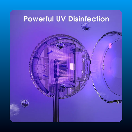UV Sanitizer Toothbrush Holder