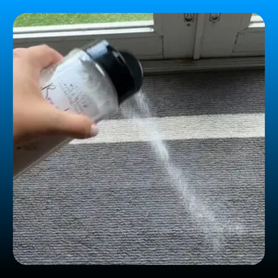 Highly Scented Carpet & Upholstery Deodorizer Powder