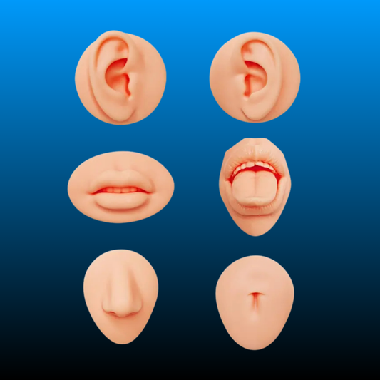 Silicone Piercing Practice Model Set