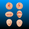 Silicone Piercing Practice Model Set