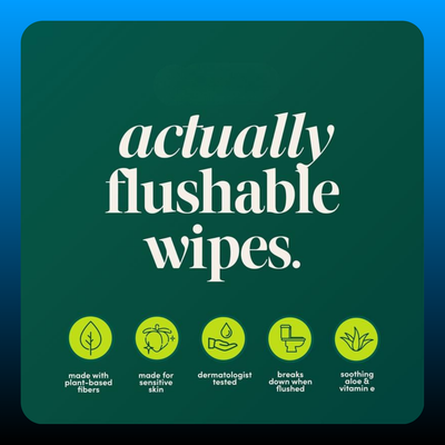 Extra Large Flushable Wipes (4 Pack)