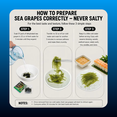 Dehydrated Sea Grapes 4 Packs