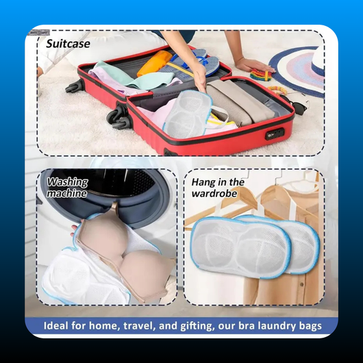 4-Pack Bra Laundry Bags