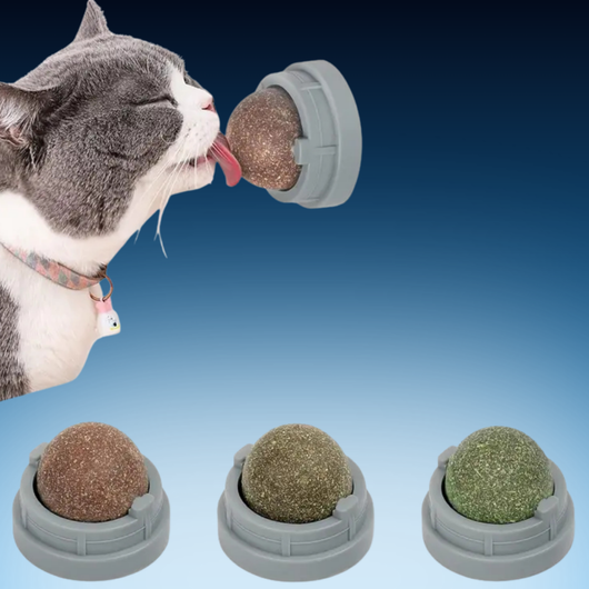 Catnip Licking Toy Balls for Cats (3 Pack)