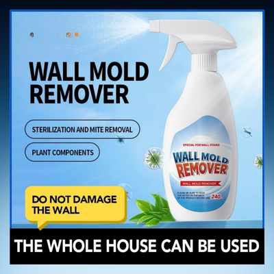 Multi-Surface Mold Remover Spray