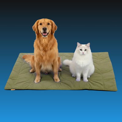 Adjustable Heated Pet Pad