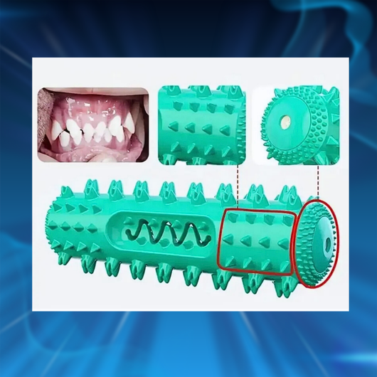 Dog Toothbrush Chew Toy