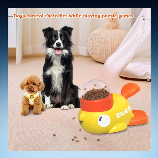 Interactive Treat Puzzle Feeder