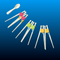 Kids Training Chopsticks (6 Pair)