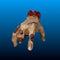 Crawling Severed Hand Halloween Prop