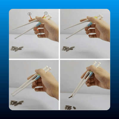 Kids Training Chopsticks (6 Pair)