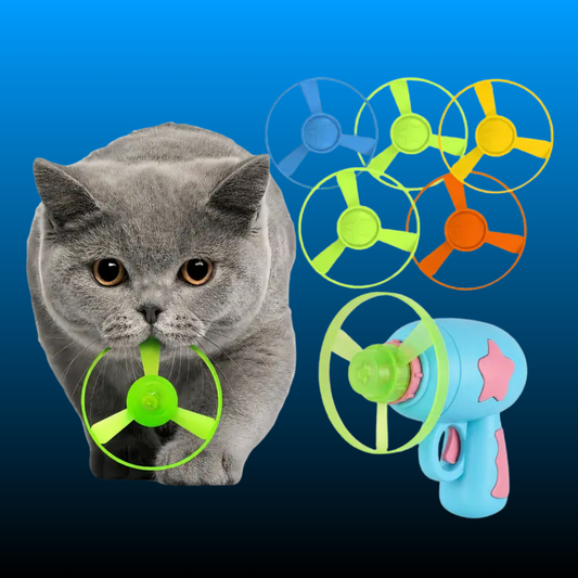11 Pcs Cat Fetch Toy Set Launcher Gun