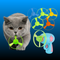 11 Pcs Cat Fetch Toy Set Launcher Gun