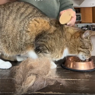 Finish Gently on Sensitive Areas