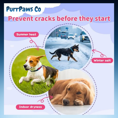Pet Paw and Nose Moisturizing Balm Stick