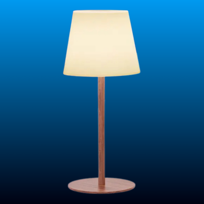 Cordless Rechargeable LED Table Lamp