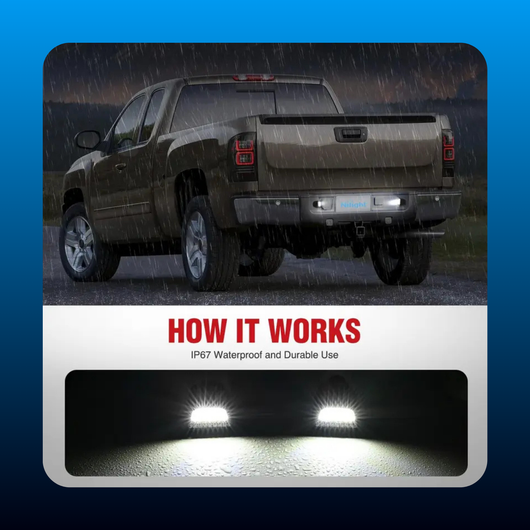 License Plate Lights