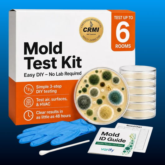 DIY Home Mold Test Kit