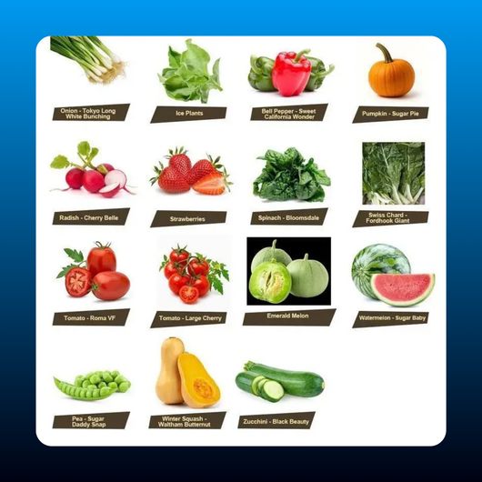 Heirloom Vegetable and Herb Seed Vault, 35 Varieties