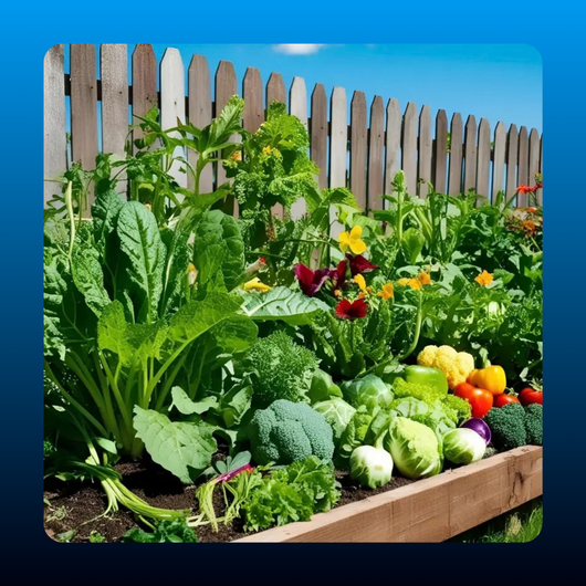 Heirloom Vegetable and Herb Seed Vault, 35 Varieties