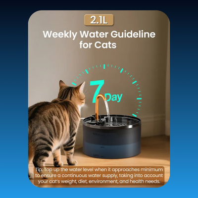Automatic Cat Water Fountain