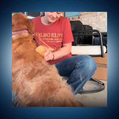 Gentle, No Pull Fur Removal