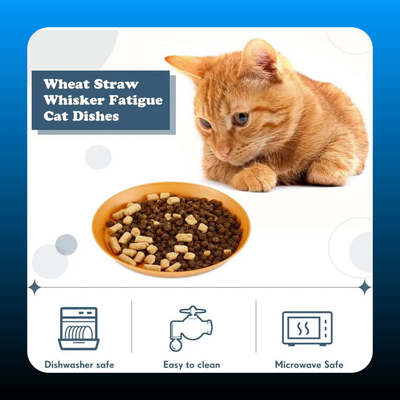 12 Pieces Whisker Fatigue Relief Cat Bowl