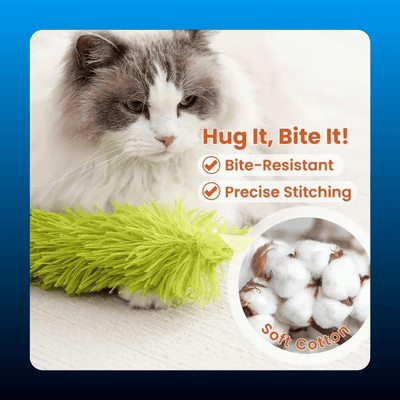 Plush Cat Kicker Pillow (3 Pack)
