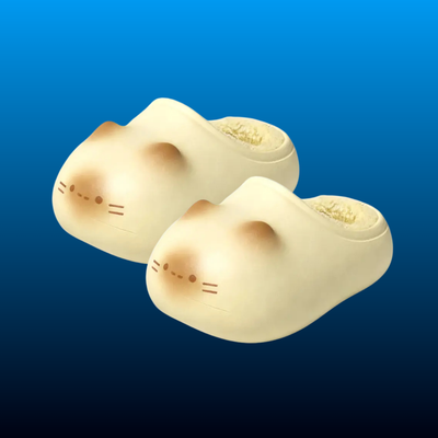 Cat Paw Slippers
