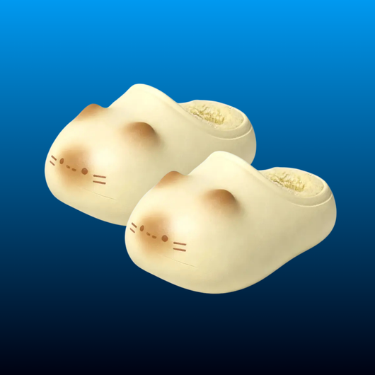 Cat Paw Slippers