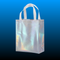 Iridescent Bags Large Size (12 PCS)