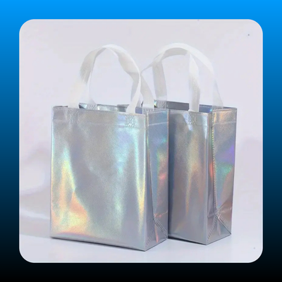 Iridescent Bags Large Size (12 PCS)
