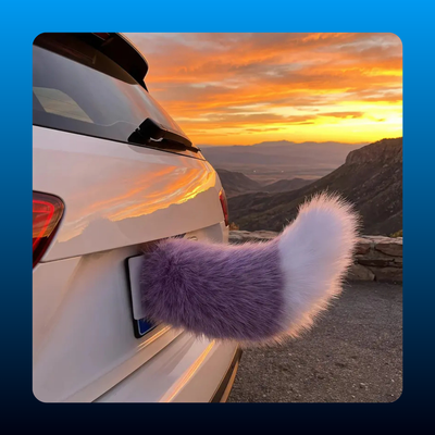 Wagging Tail Car Decoration