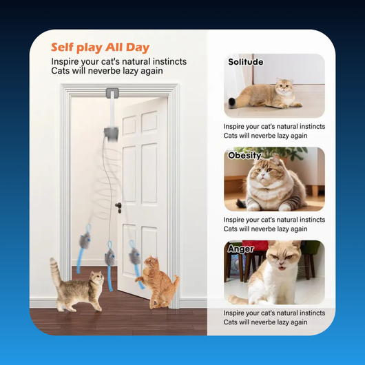 Interactive Electric Cat Teaser