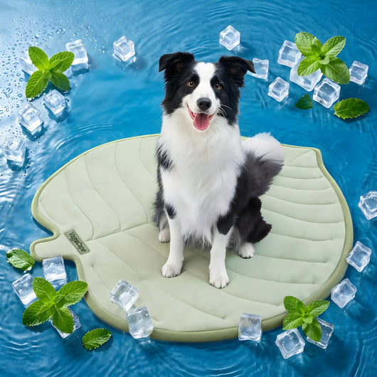 Pet Cooling Mat