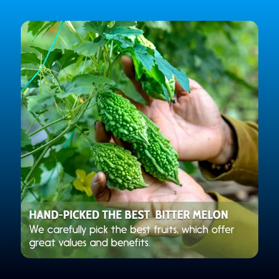Bitter Melon Health Tea Bags