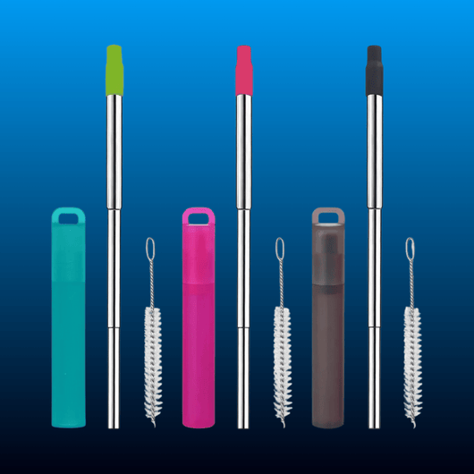 Collapsible Stainless Steel Straws (3 Pack)