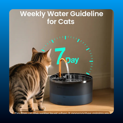 Silent Cat Water Fountain